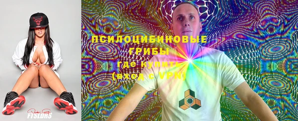 стафф Надым