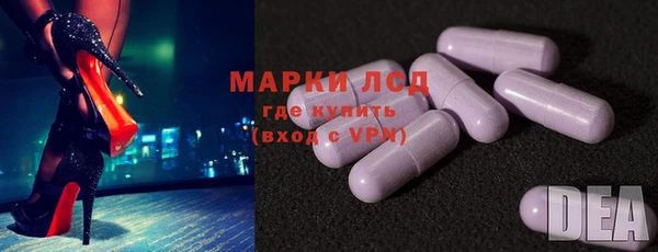 стафф Надым