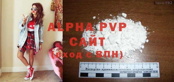 стафф Надым